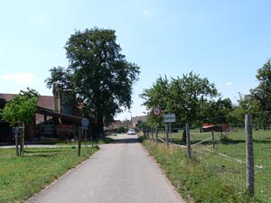 Dorf05